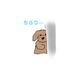 わんじぃ②喜怒哀楽（個別スタンプ：5）