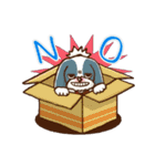 かわいい！シーズー（個別スタンプ：3）
