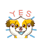 かわいい！シーズー（個別スタンプ：4）
