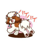かわいい！シーズー（個別スタンプ：5）