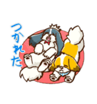 かわいい！シーズー（個別スタンプ：10）