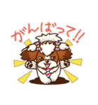 かわいい！シーズー（個別スタンプ：16）