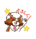 かわいい！シーズー（個別スタンプ：20）