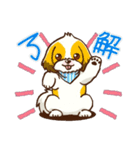 かわいい！シーズー（個別スタンプ：21）