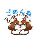 かわいい！シーズー（個別スタンプ：24）