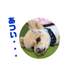 風太スペシャル！（個別スタンプ：5）