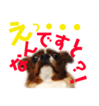 王子とまう(キャバリア)のスタンプ❷（個別スタンプ：11）