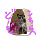 初めてつくりました（個別スタンプ：3）