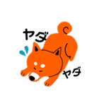 柴犬リキのスタンプ（個別スタンプ：34）