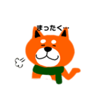 柴犬リキのスタンプ（個別スタンプ：37）