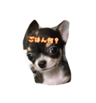 ぺこみちよ（個別スタンプ：2）