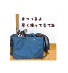 ぺこみちよ（個別スタンプ：4）