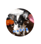 ぺこみちよ（個別スタンプ：13）