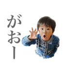 ドゥードゥーさんとフーガさん（個別スタンプ：13）