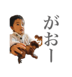 ドゥードゥーさんとフーガさん（個別スタンプ：17）