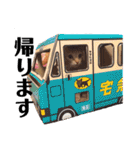茶トラ猫 ココちゃん（個別スタンプ：6）
