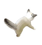 こなキャッツ（個別スタンプ：8）