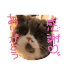 仲良し兄弟モコとグリPart2（個別スタンプ：5）