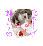 仲良し兄弟モコとグリPart2（個別スタンプ：7）