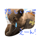 仲良し兄弟モコとグリPart2（個別スタンプ：8）