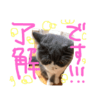 仲良し兄弟モコとグリPart2（個別スタンプ：13）