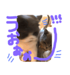 仲良し兄弟モコとグリPart2（個別スタンプ：14）