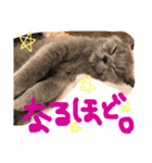 仲良し兄弟モコとグリPart2（個別スタンプ：16）