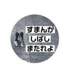 ロン師匠とビビのスタンプ（個別スタンプ：3）