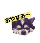ロン師匠とビビのスタンプ（個別スタンプ：4）