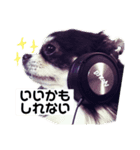 ロン師匠とビビのスタンプ（個別スタンプ：7）