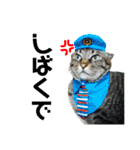 仲良し猫のロコモコとチヂミ【関西弁】（個別スタンプ：13）