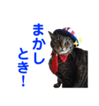 仲良し猫のロコモコとチヂミ【関西弁】（個別スタンプ：22）