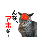 仲良し猫のロコモコとチヂミ【関西弁】（個別スタンプ：27）
