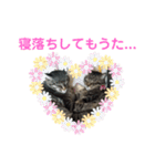 仲良し猫のロコモコとチヂミ【関西弁】（個別スタンプ：38）