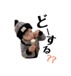 爽真挨拶スタンプ（個別スタンプ：3）
