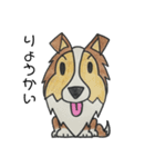うちのシェルティー（個別スタンプ：2）