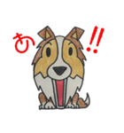うちのシェルティー（個別スタンプ：6）