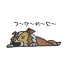 うちのシェルティー（個別スタンプ：9）