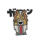 うちのシェルティー（個別スタンプ：13）
