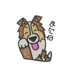 うちのシェルティー（個別スタンプ：14）