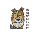 うちのシェルティー（個別スタンプ：16）
