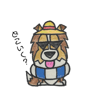うちのシェルティー（個別スタンプ：19）