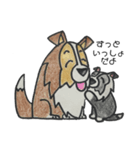 うちのシェルティー（個別スタンプ：20）