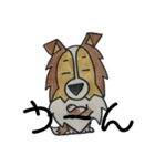 うちのシェルティー（個別スタンプ：22）