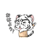 とある白虎スタンプ（個別スタンプ：13）