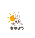 うさぎ「ラロット」の日常（個別スタンプ：1）