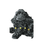 アメコカブラック ぽろん君（個別スタンプ：3）
