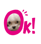 ふうちゅけねぇね（個別スタンプ：4）