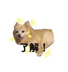 ふうちゅけねぇね（個別スタンプ：7）