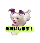 ふうちゅけねぇね（個別スタンプ：12）